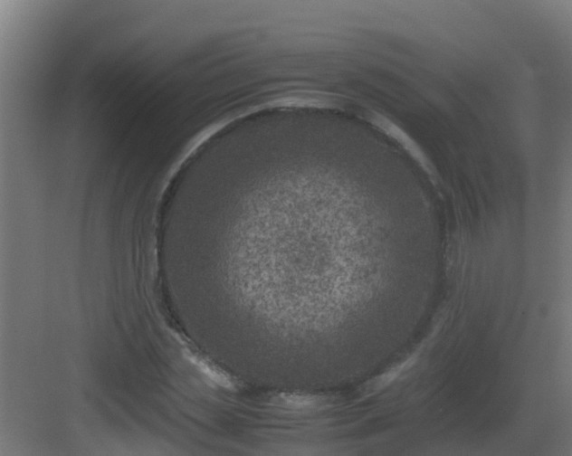 X0000082990829200702081832