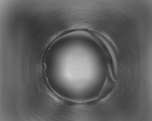 X0000082990834200702081832