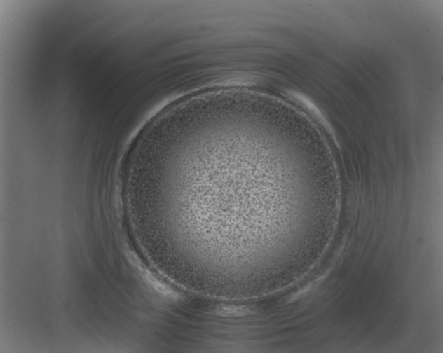 X0000082990835200702081832