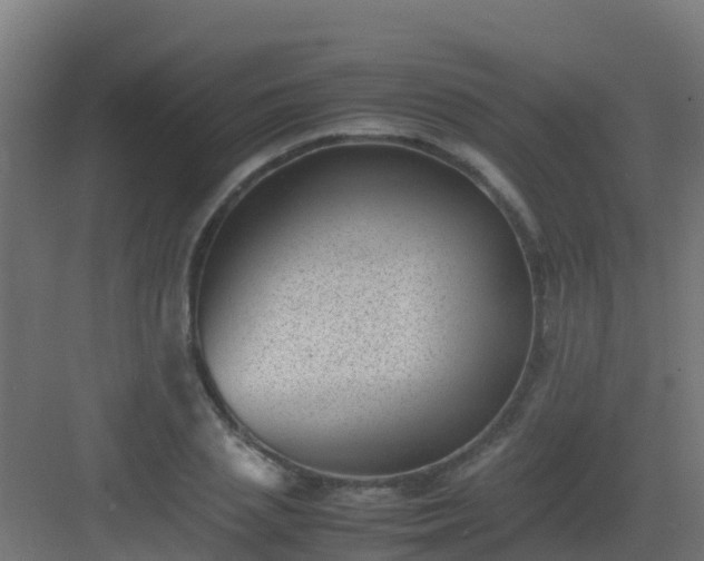 X0000082990837200702081832