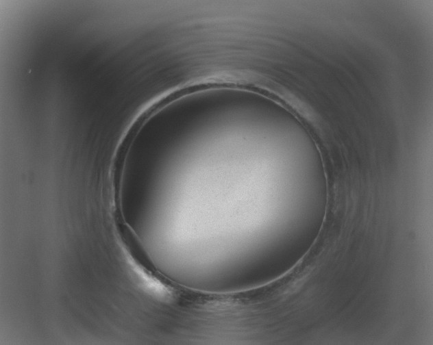 X0000082990838200702081832