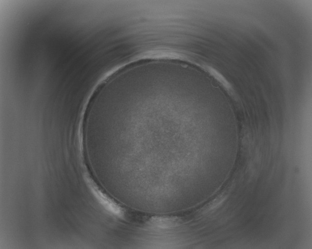 X0000082990840200702081832