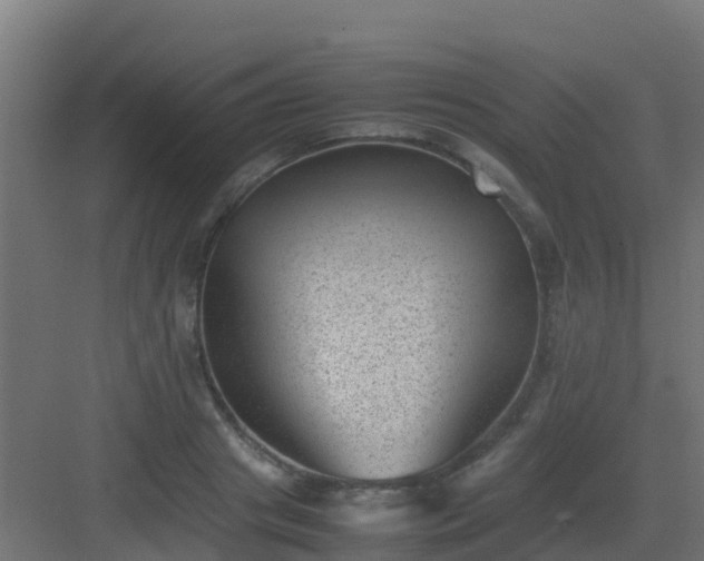 X0000082990841200702081832