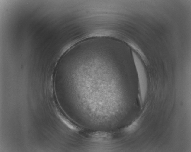 X0000082990842200702081832