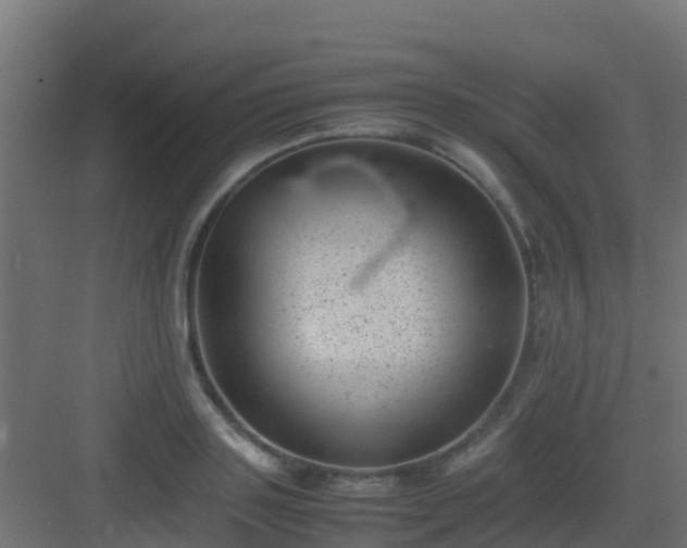 X0000082990843200702081832