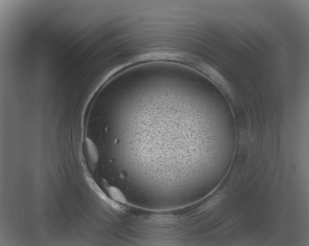 X0000082990844200702081832