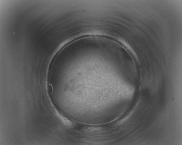 X0000082990845200702081832