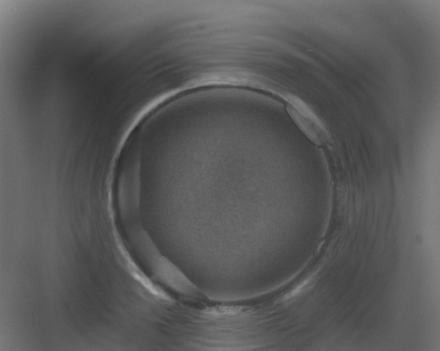 X0000082990846200702081832