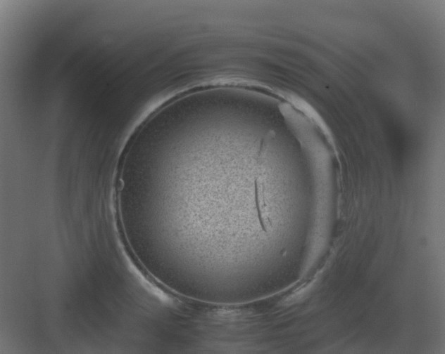 X0000082990847200702081832