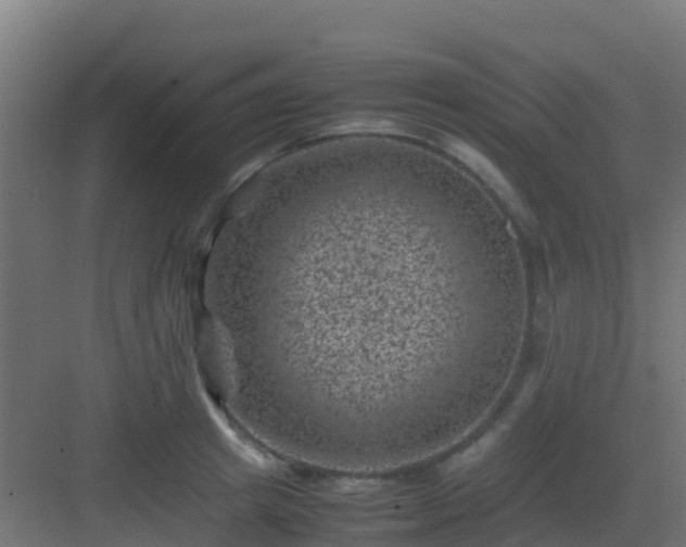 X0000082990849200702081832