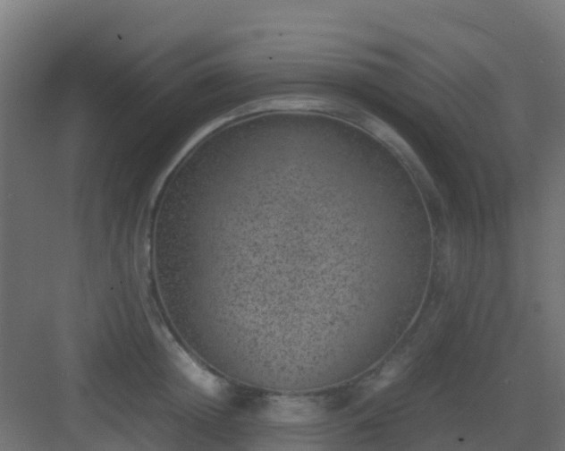 X0000082990852200702081832