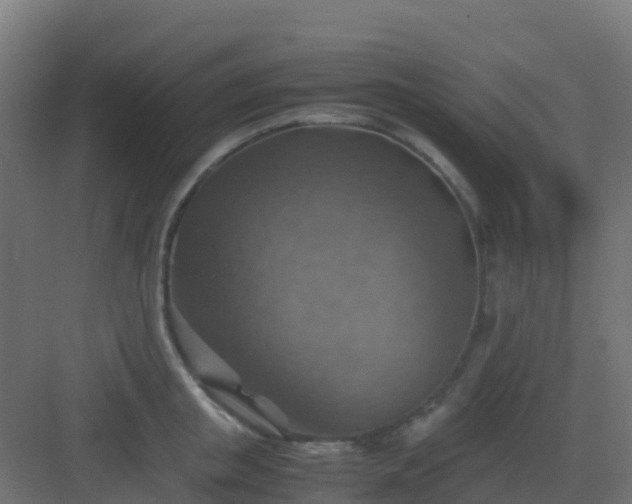 X0000082990853200702081832