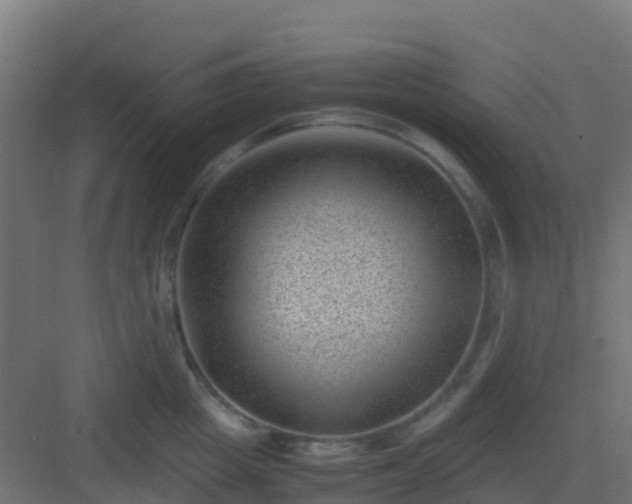 X0000082990857200702081832