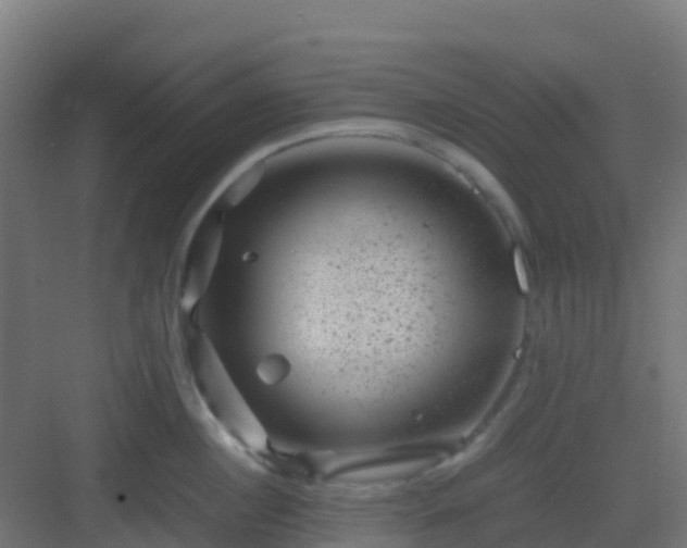 X0000082990860200702081833