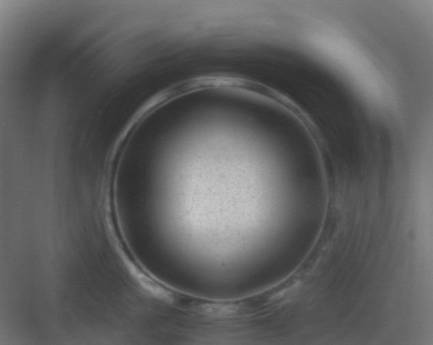 X0000082990861200702081833