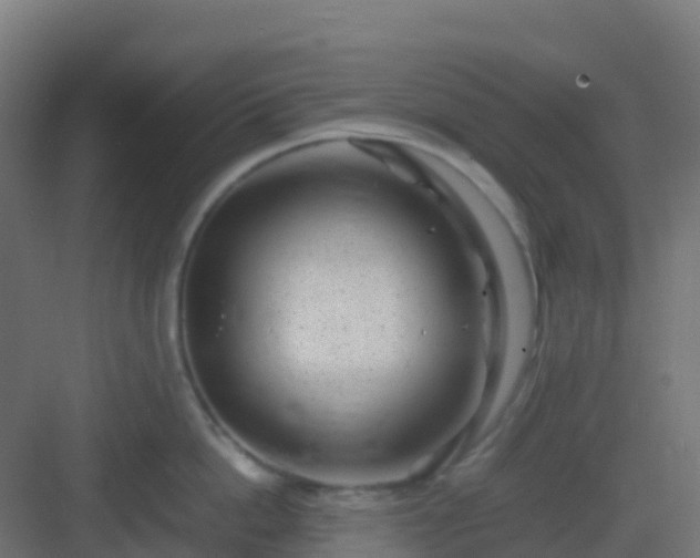 X0000082990862200702081833