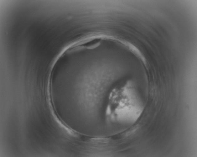 X0000082990863200702081833