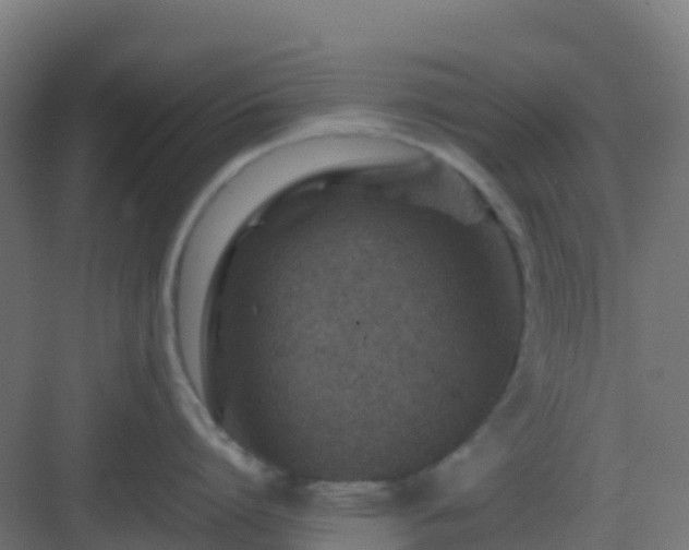 X0000082990864200702081833