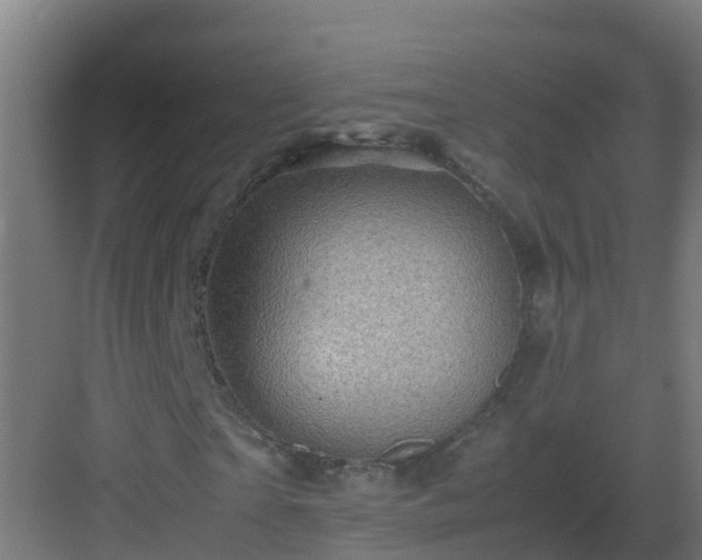 X0000082990865200702081832