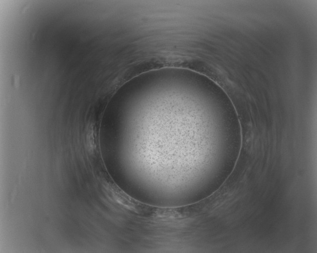 X0000082990866200702081832