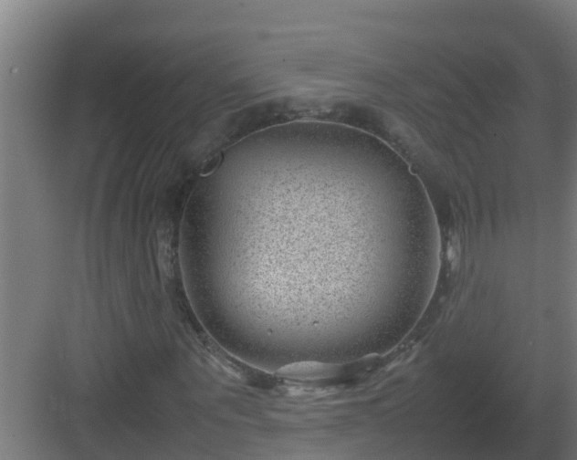 X0000082990867200702081832