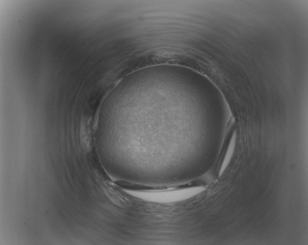 X0000082990868200702081832