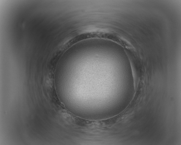 X0000082990869200702081832