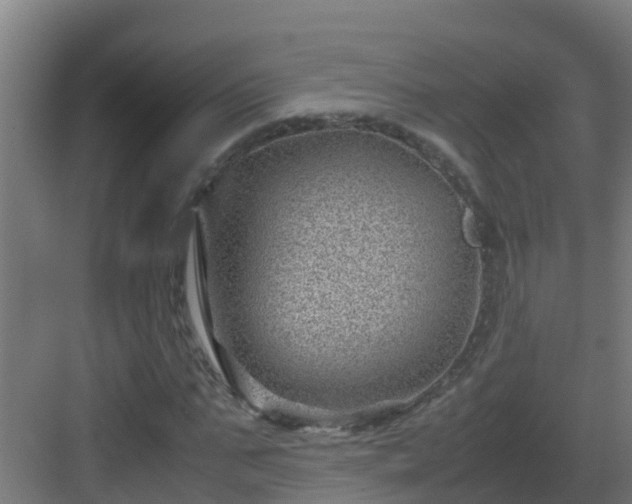 X0000082990871200702081831