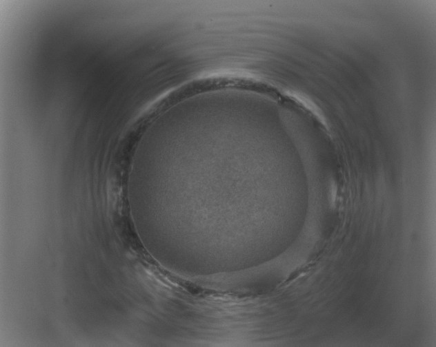 X0000082990872200702081831