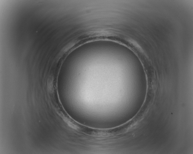 X0000082990873200702081831