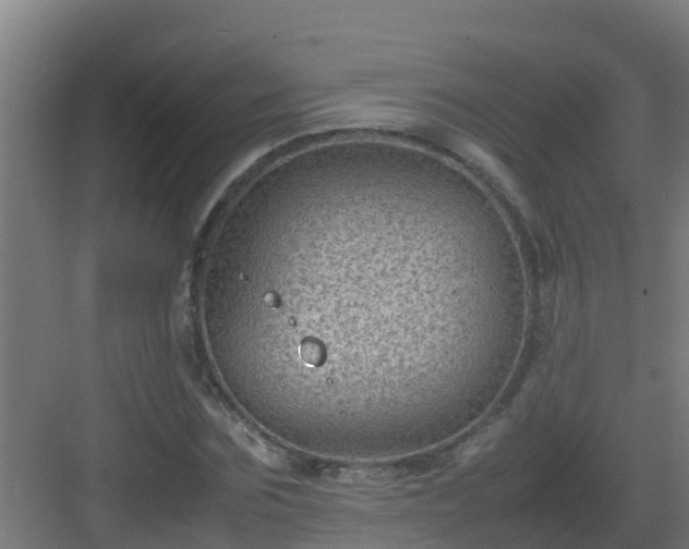 X0000082990875200702081831