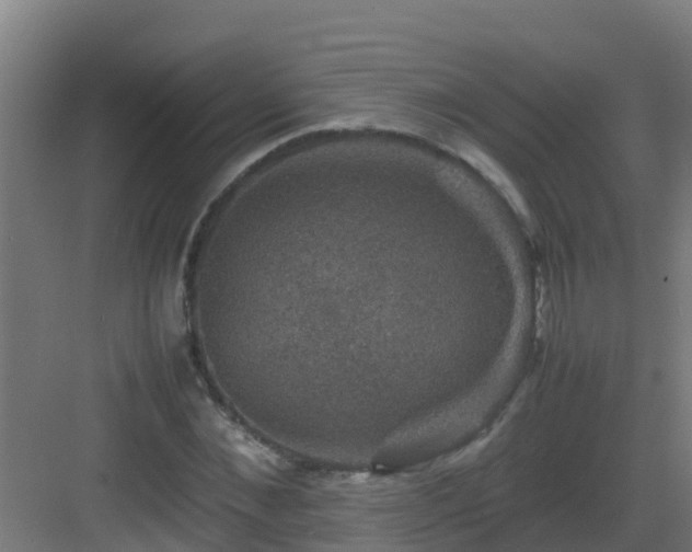 X0000082990876200702081831