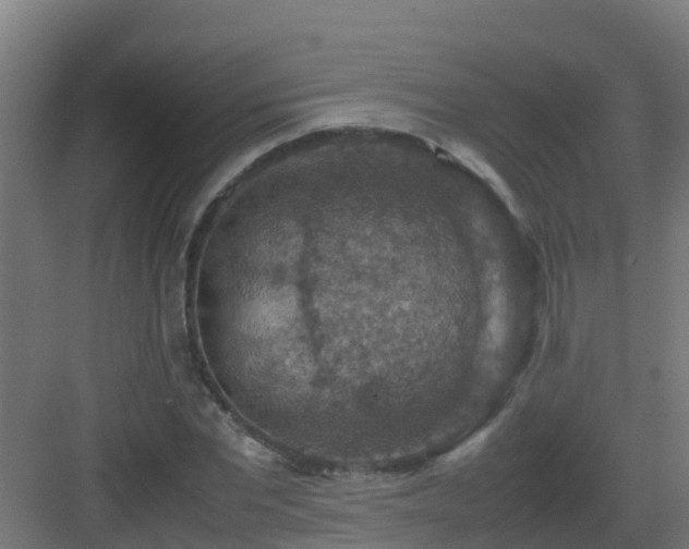 X0000082990877200702081831