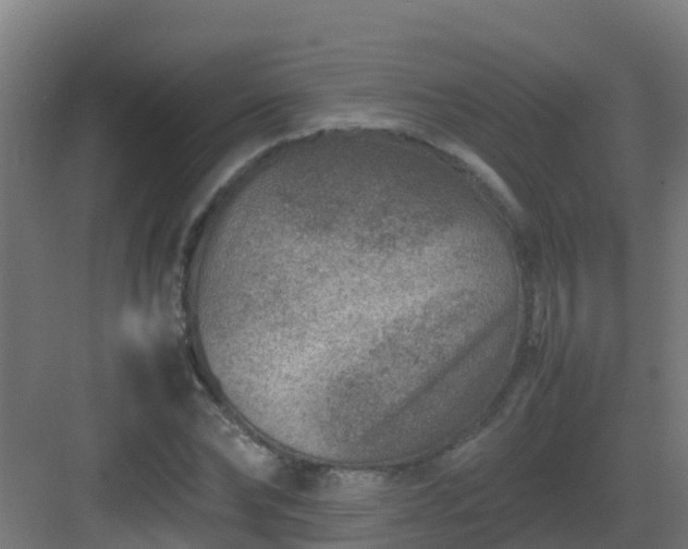 X0000082990878200702081831