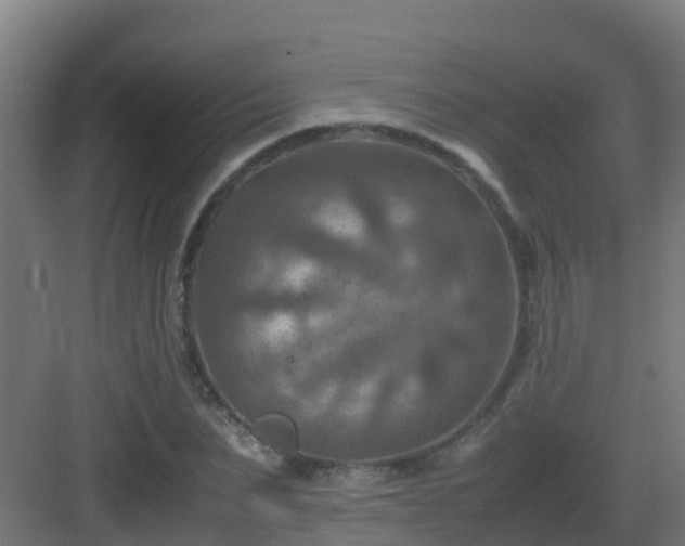 X0000082990879200702081831