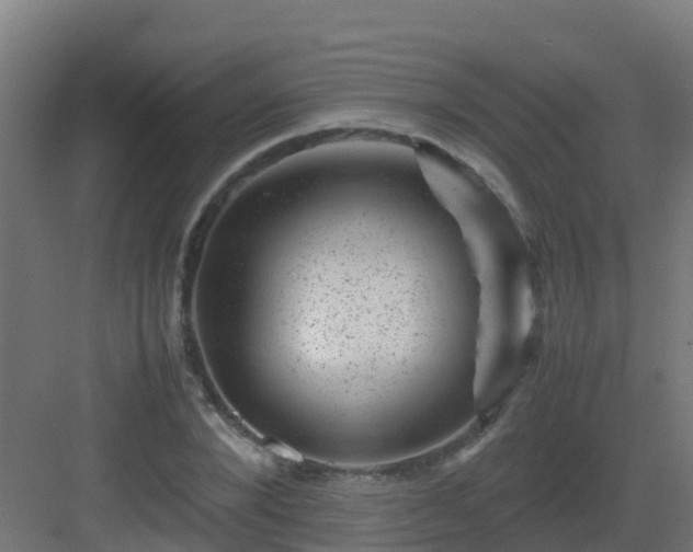 X0000082990880200702081831