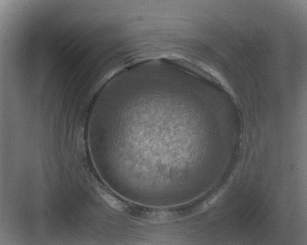 X0000082990881200702081831