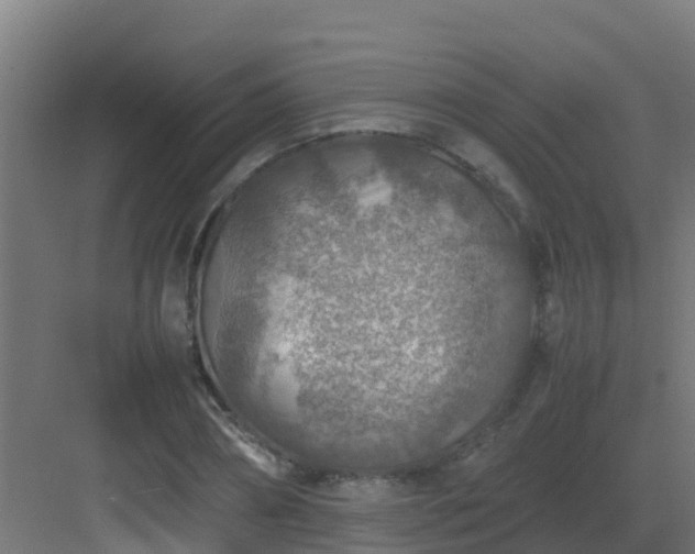 X0000082990882200702081831