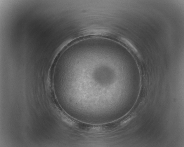 X0000082990883200702081831