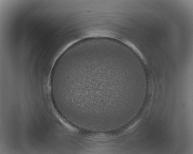 X0000082990885200702081831