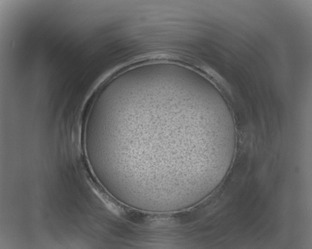 X0000082990886200702081831