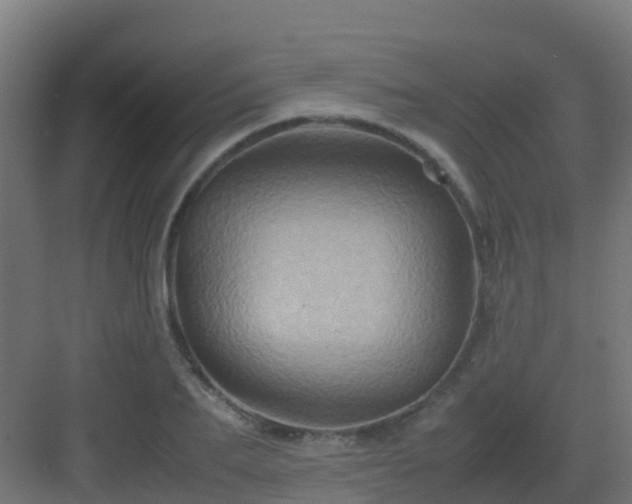 X0000082990887200702081831