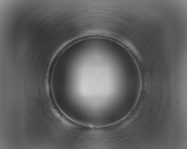 X0000082990888200702081831