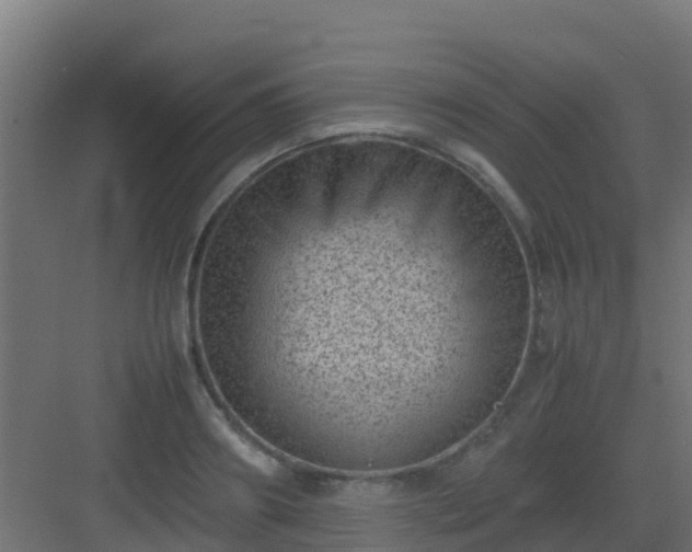 X0000082990890200702081831