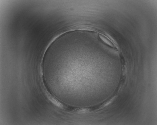 X0000082990891200702081831