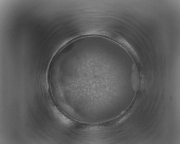 X0000082990892200702081831