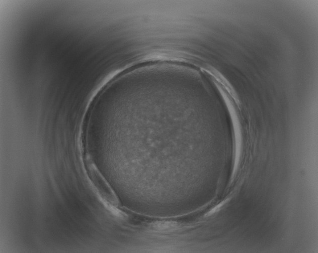 X0000082990893200702081831