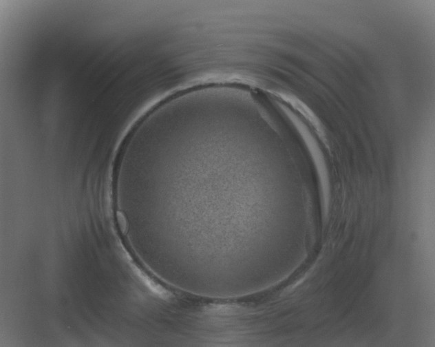 X0000082990894200702081831