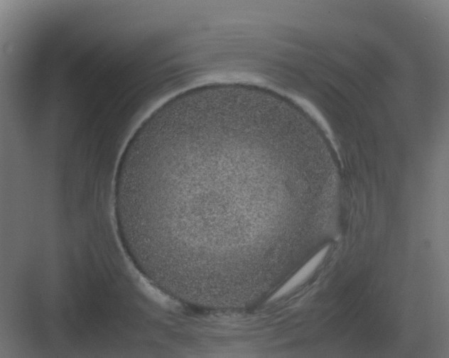 X0000082990895200702081831