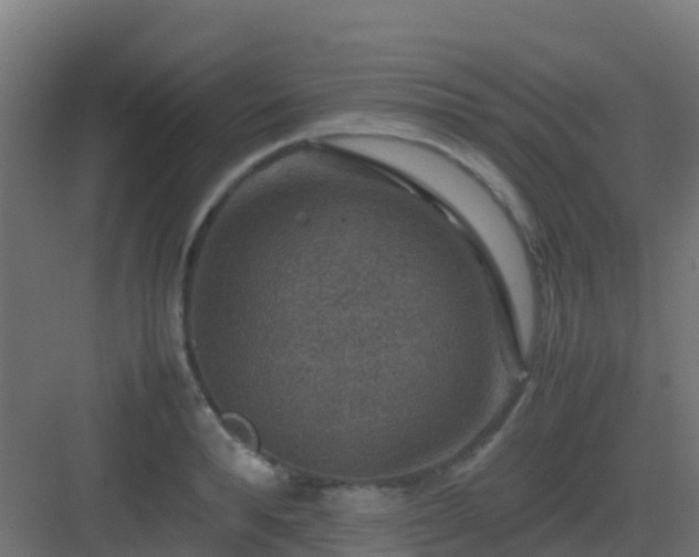 X0000082990896200702081831